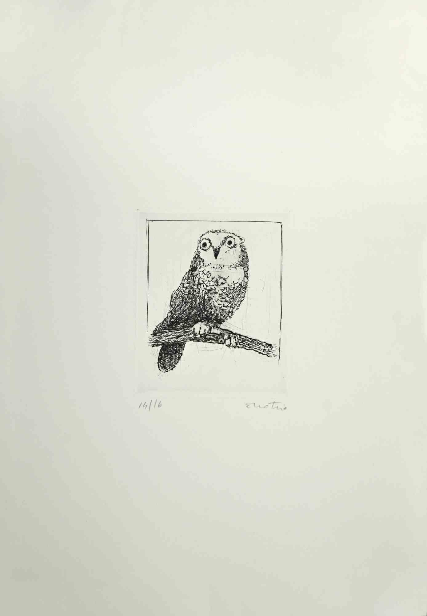 Owl is an Etching and Aquatint realized by Enotrio Pugliese in 1970s.

Limited edition of 16 copies numbered and signed by the artist.

Good conditions.

Enotrio Pugliese (May 11, 1920 - August 1989) was an Italian painter. Born in Buenos Aires to a