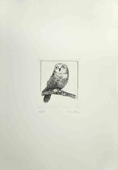 Retro Owl - Etching by Enotrio Pugliese - 1970s