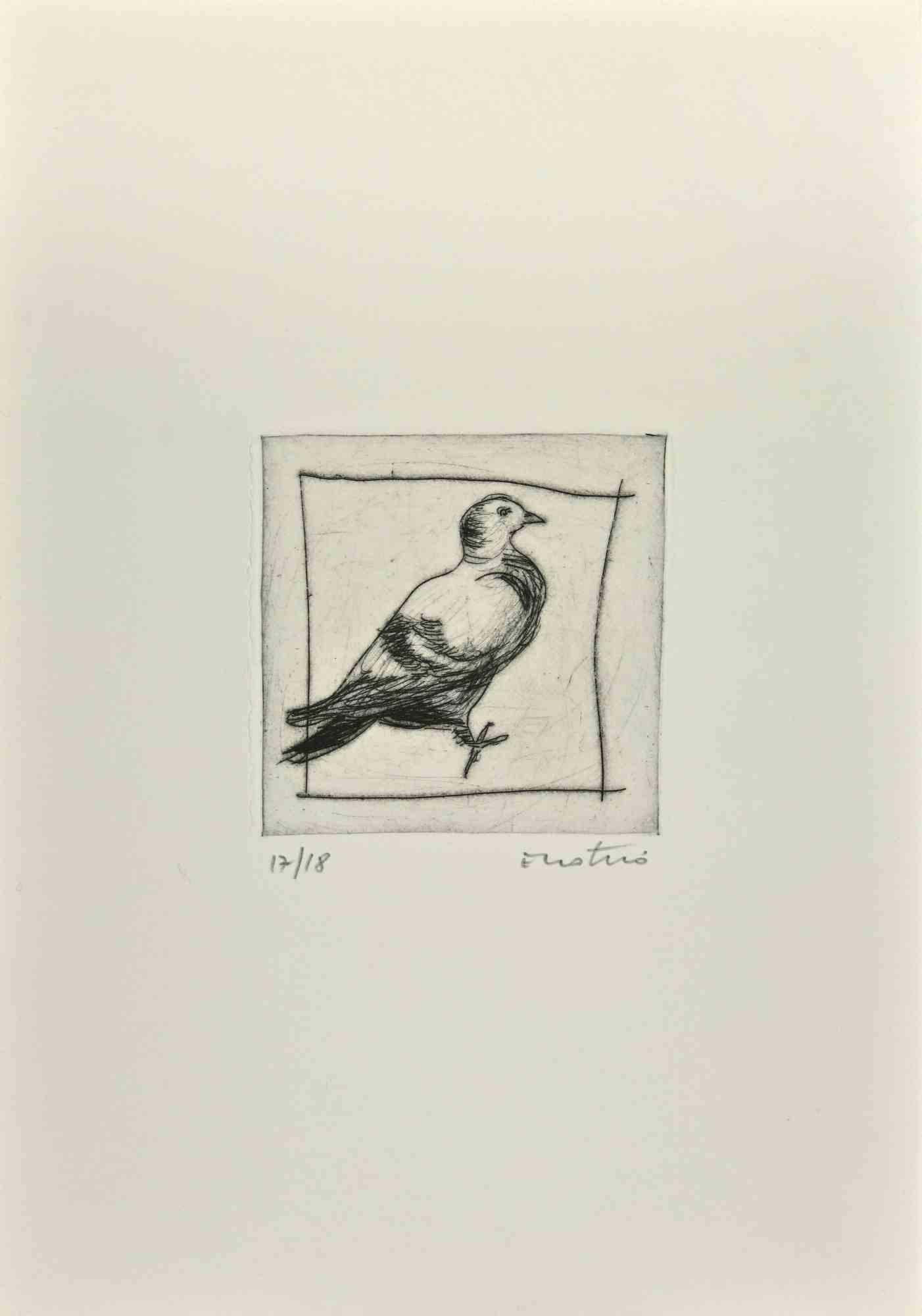 Pigeon is an Etching realized by Enotrio Pugliese in 1963.

Limited edition of 18 copies numbered and signed by the artist.

Good condition on a white cardboard.

Enotrio Pugliese (May 11, 1920 - August 1989) was an Italian painter. Born in Buenos