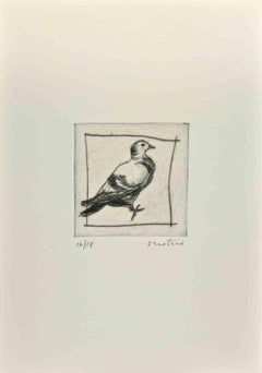 Vintage Pigeon - Etching by Enotrio Pugliese - 1963
