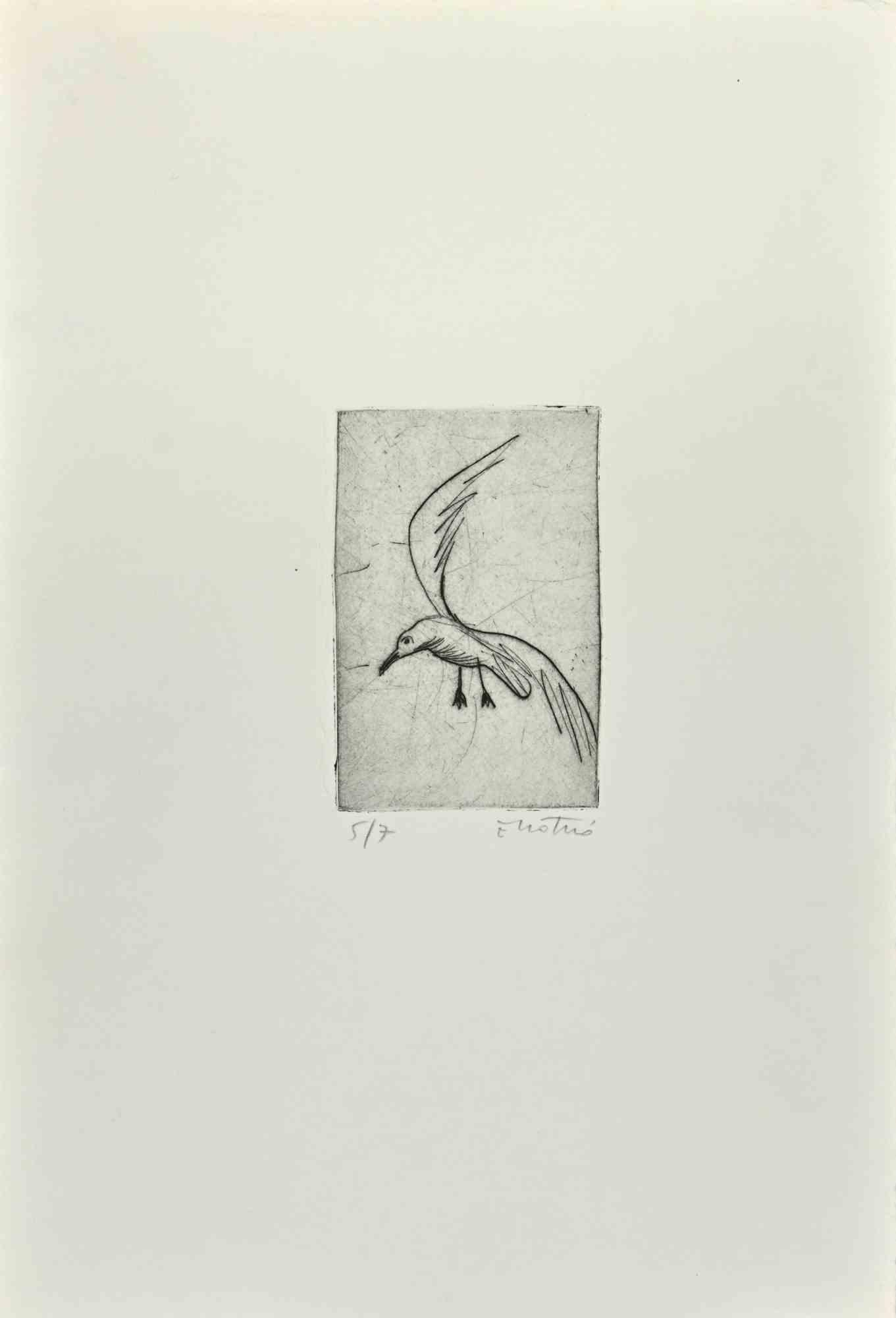 Seagull - Etching by Enotrio Pugliese - 1963