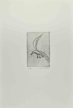 Vintage Seagull  - Etching by Enotrio Pugliese - 1963