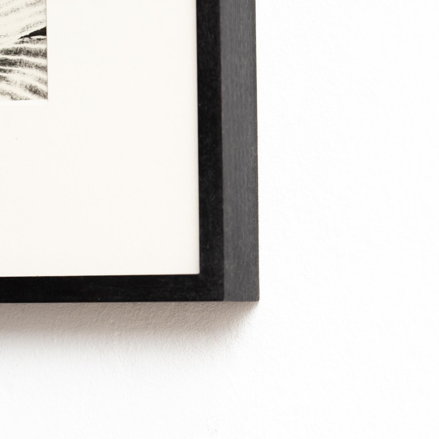 Enrico Garzaro Fotografía botánica contemporánea en blanco y negro, circa 2015 en venta 4