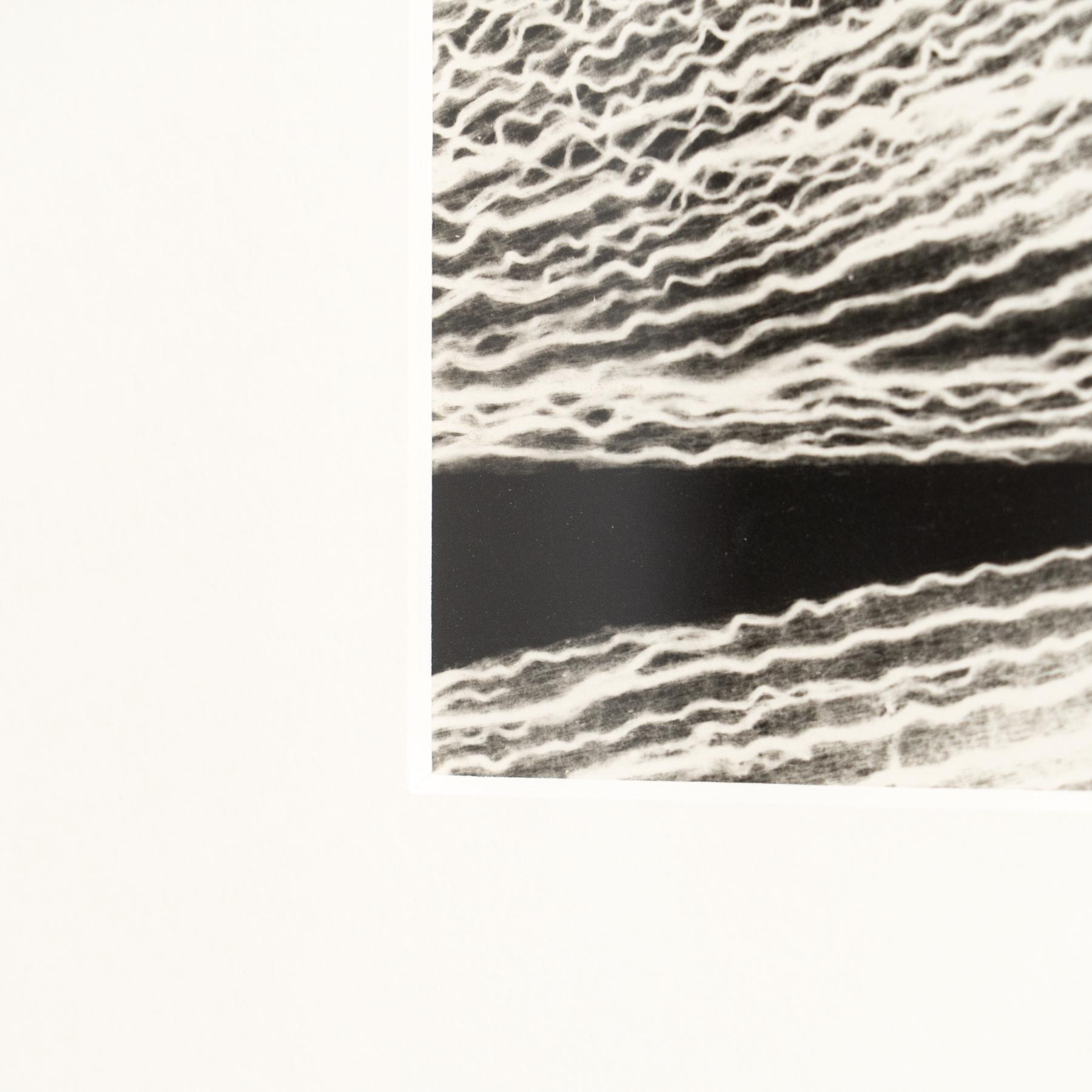 Enrico Garzaro Fotografía botánica contemporánea en blanco y negro, circa 2015 en venta 5