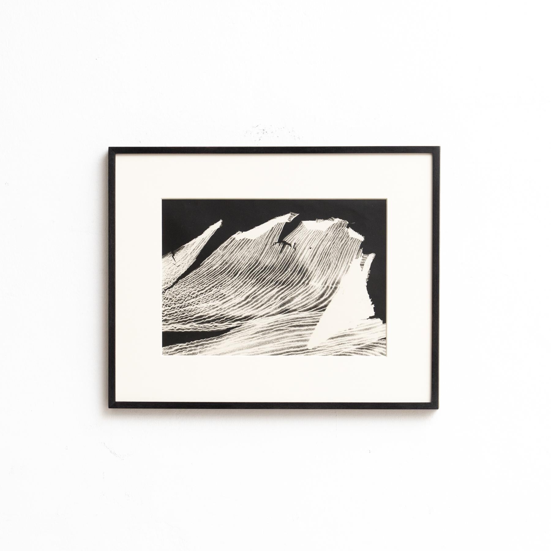 Fotograma del artista Enrico Garzaro de la serie Flora, 2015.

Papel de gelatina de plata.

Enmarcado.

En buen estado original, con pequeños desgastes propios de la edad y el uso, conservando una hermosa pátina.