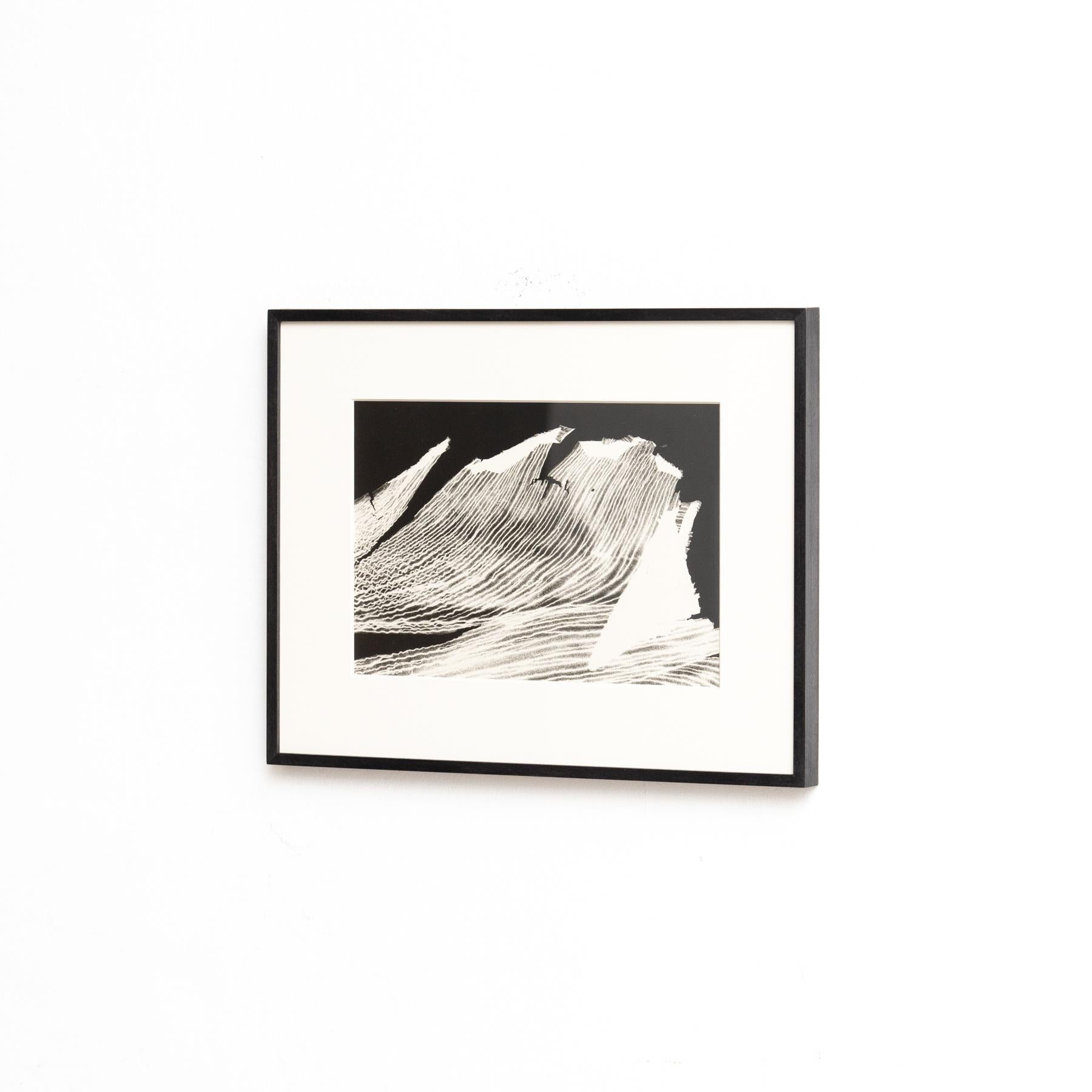 Enrico Garzaro Fotografía botánica contemporánea en blanco y negro, circa 2015 Moderno de mediados de siglo en venta