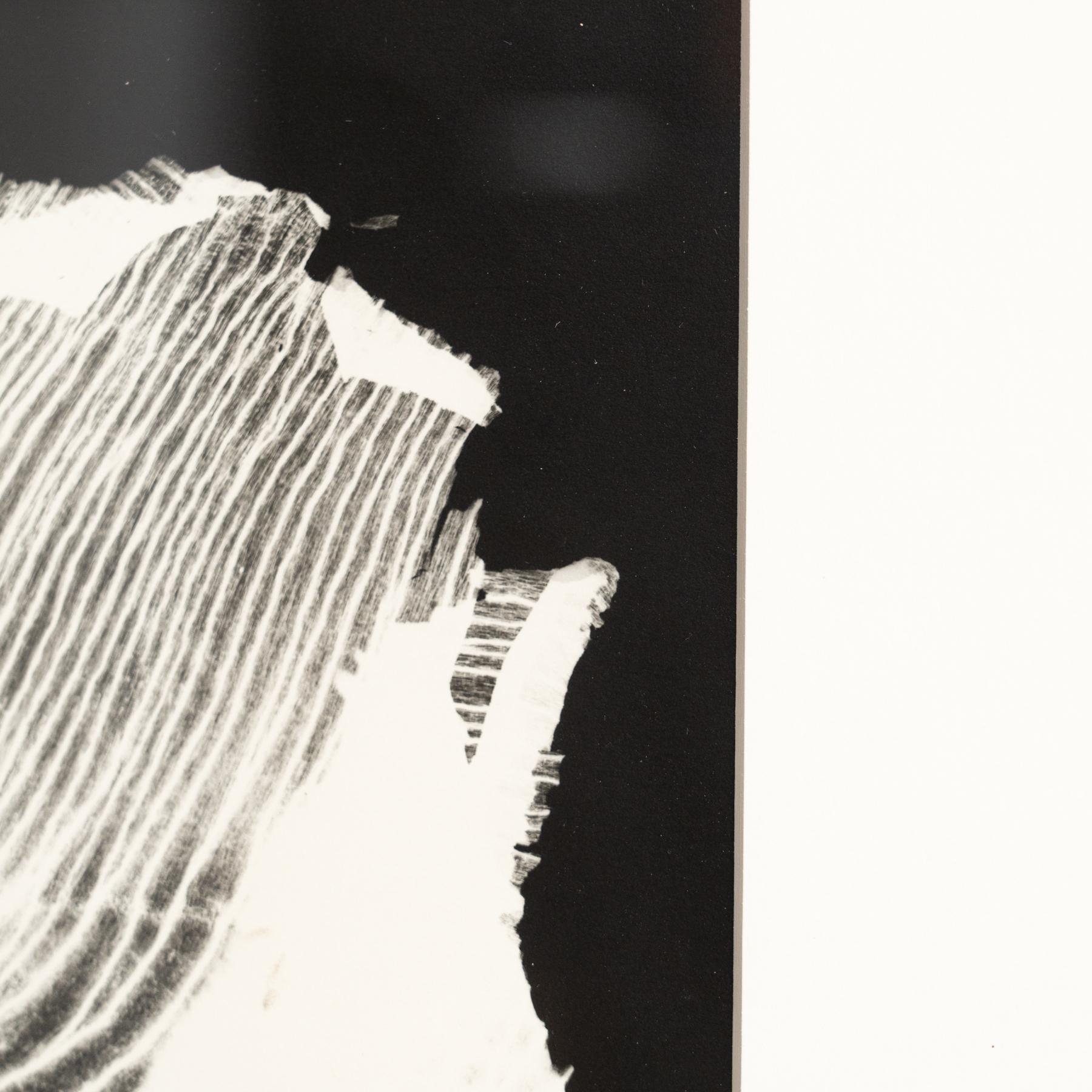 Enrico Garzaro Fotografía botánica contemporánea en blanco y negro, circa 2015 en venta 2