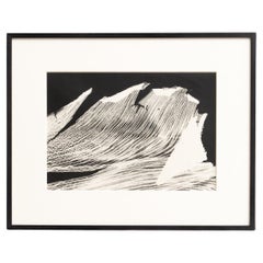 Enrico Garzaro Photographie botanique contemporaine en noir et blanc, circa 2015.