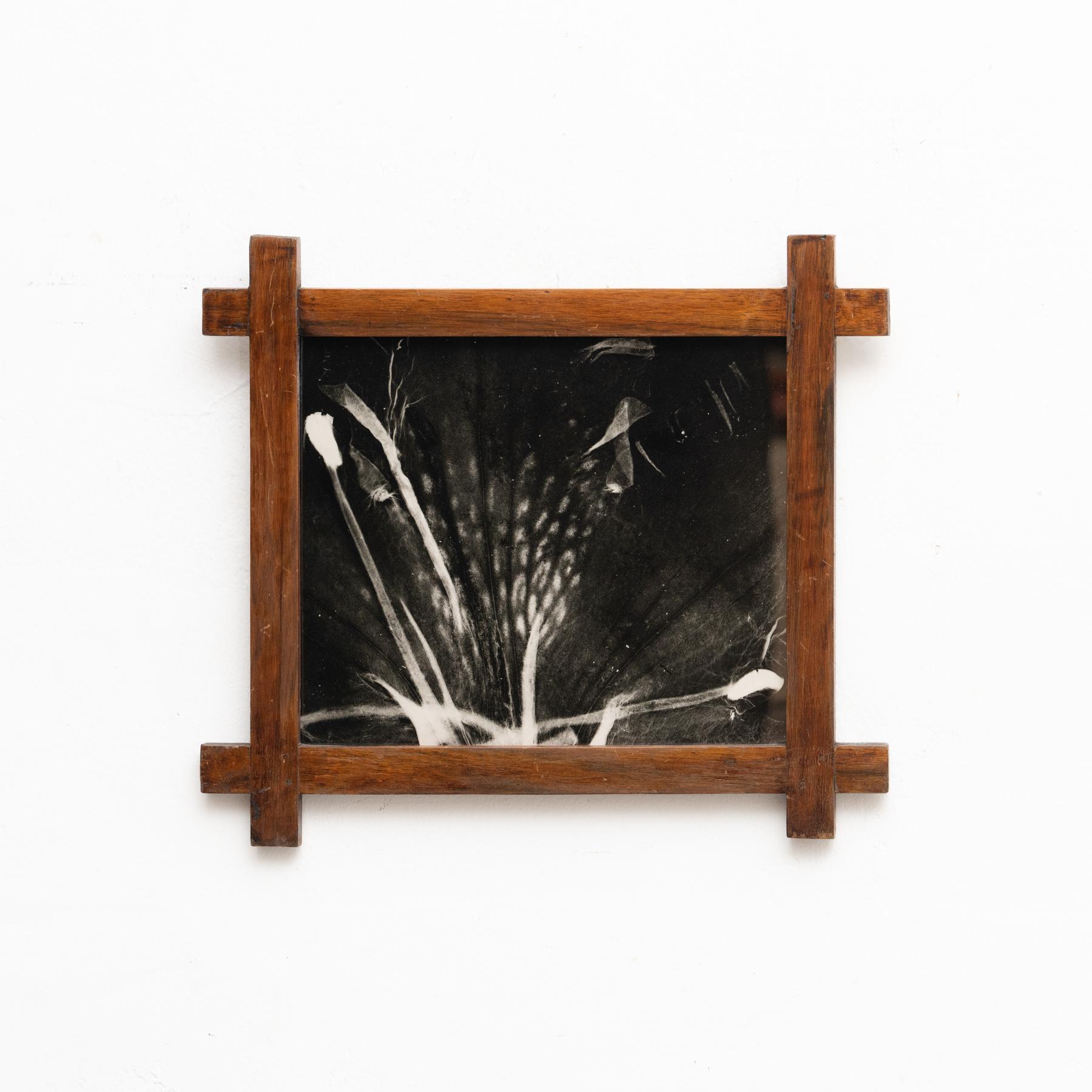 Photogram by artist Enrico Garzaro from the Flora series, 2015.

Gelatin silver paper.

Framed.

In good original condition, with minor wear consistent with age and use, preserving a beautiful patina.