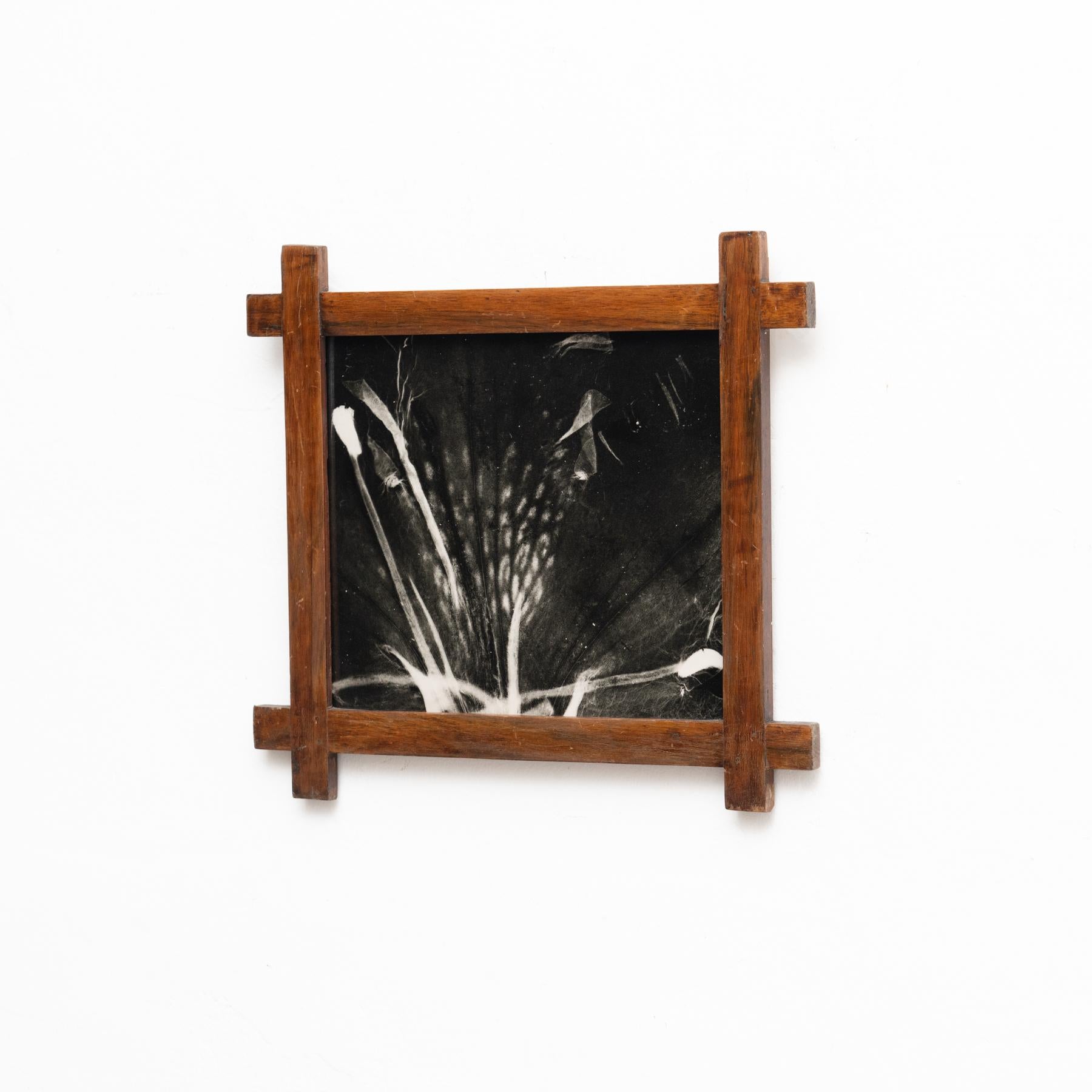 Mid-Century Modern Enrico Garzaro Black and White Contemporary Botanical Photography, circa 2015 For Sale