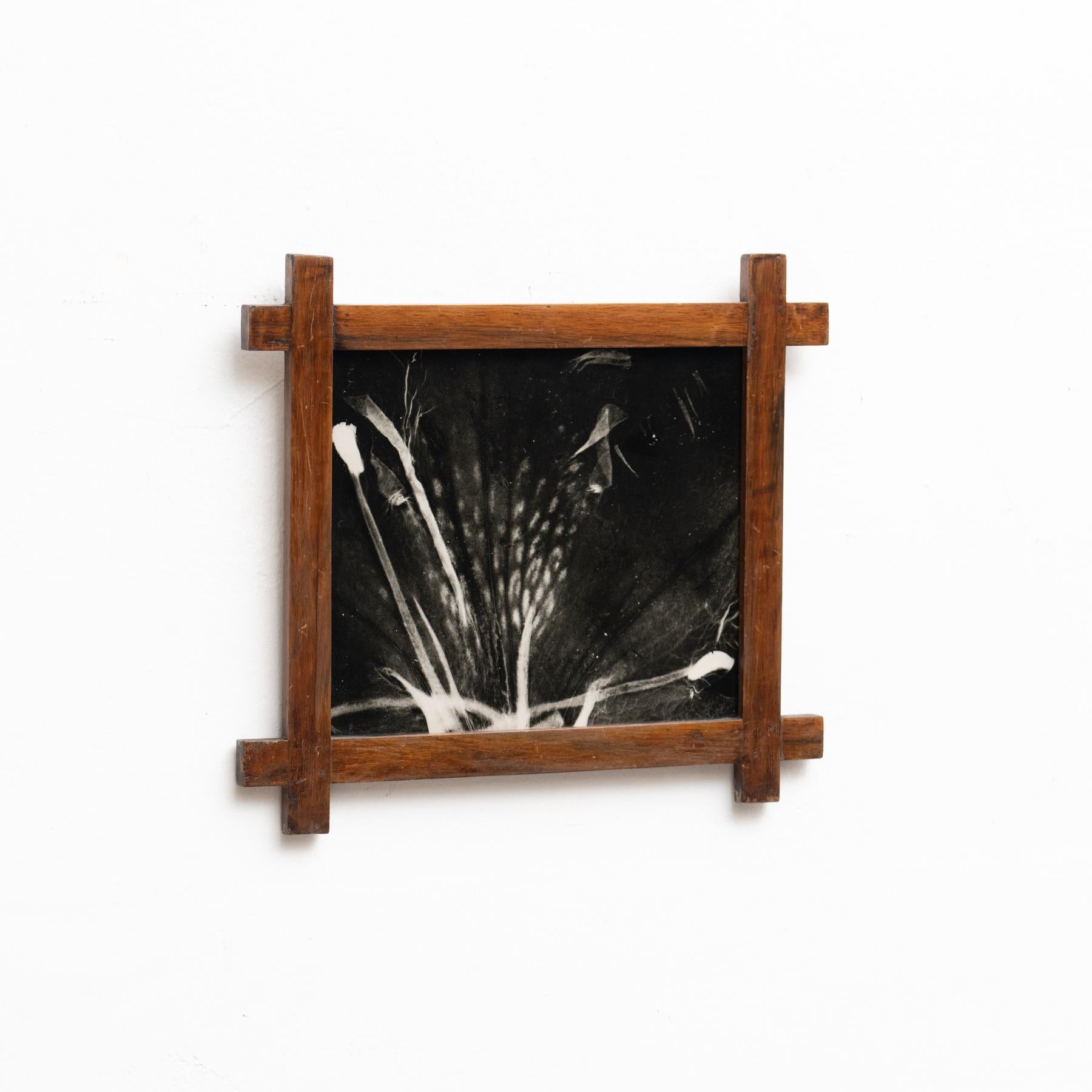 Enrico Garzaro Black and White Contemporary Botanical Photography, circa 2015 For Sale 2