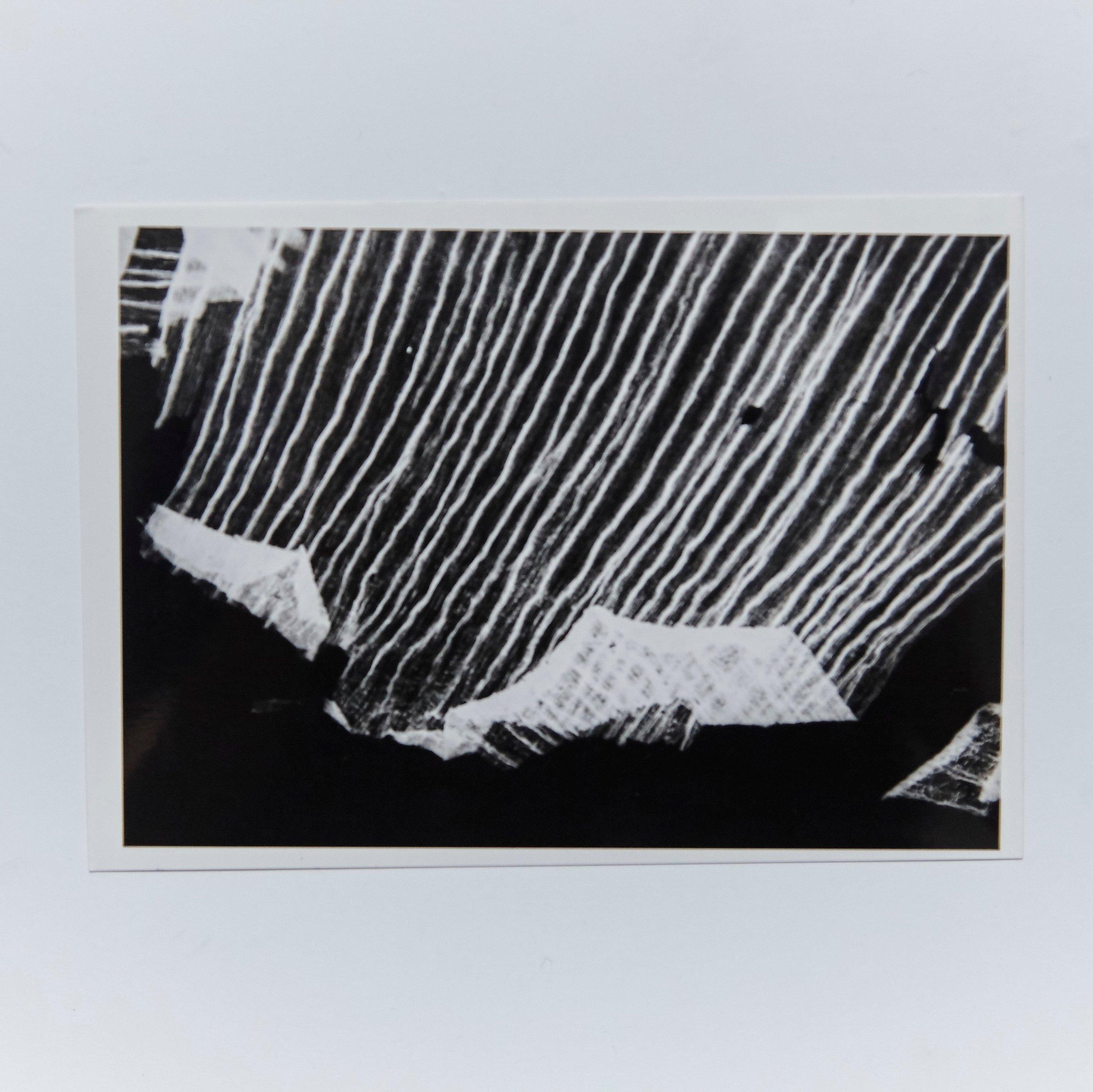 Mid-Century Modern Enrico Garzaro, Flora Photogram Black and White Contemporary Photography For Sale