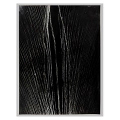 Enrico Garzaro, Flora Photogram
