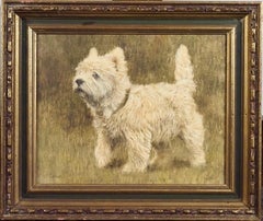 A West Highland White Terrier