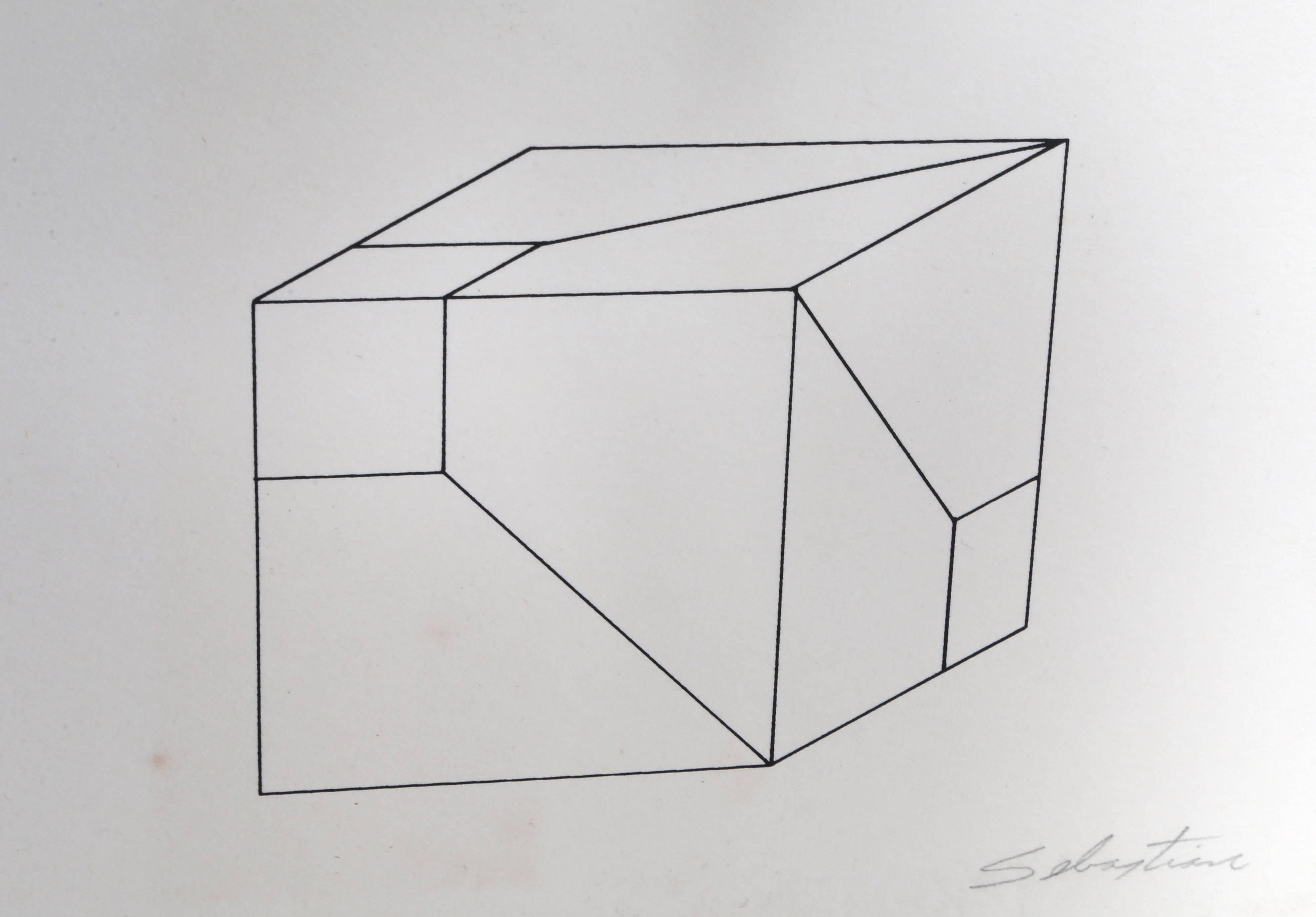 Deconstrucción de Cubo, Abstract Screenprint by Enrique Sebastian Carbajal For Sale 2