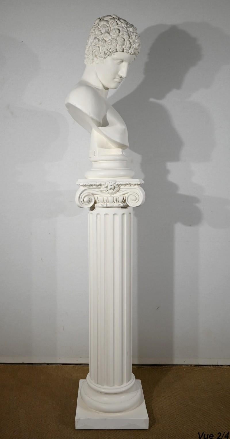 Busto di Antinoo su colonna - Fine XIX secolo in vendita 5