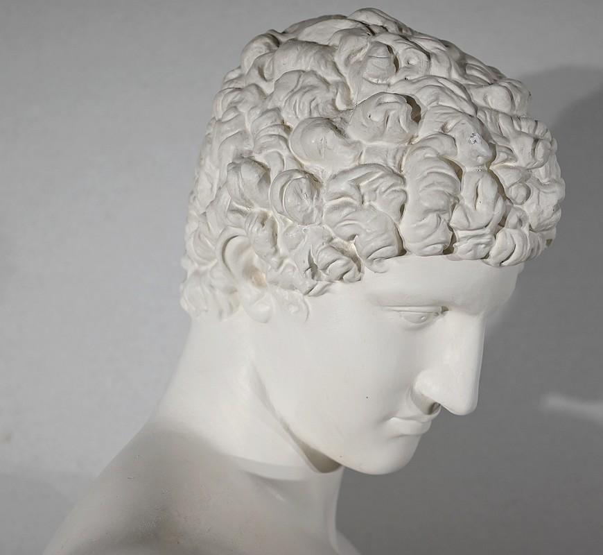 Busto di Antinoo su colonna - Fine XIX secolo in vendita 6