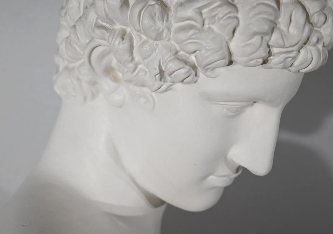 Busto di Antinoo su colonna - Fine XIX secolo in vendita 7