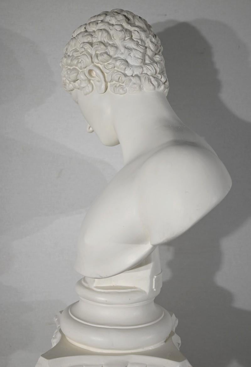 Busto di Antinoo su colonna - Fine XIX secolo in vendita 9