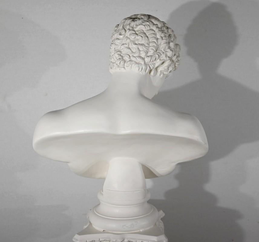 Busto di Antinoo su colonna - Fine XIX secolo in vendita 12