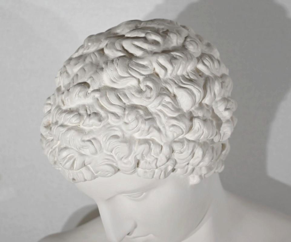 Busto di Antinoo su colonna - Fine XIX secolo In condizioni ottime in vendita a HÉRIC, FR
