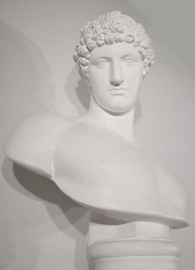 Intonaco Busto di Antinoo su colonna - Fine XIX secolo in vendita
