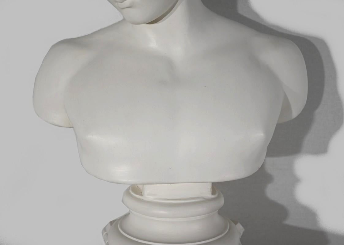 Busto di Antinoo su colonna - Fine XIX secolo in vendita 2