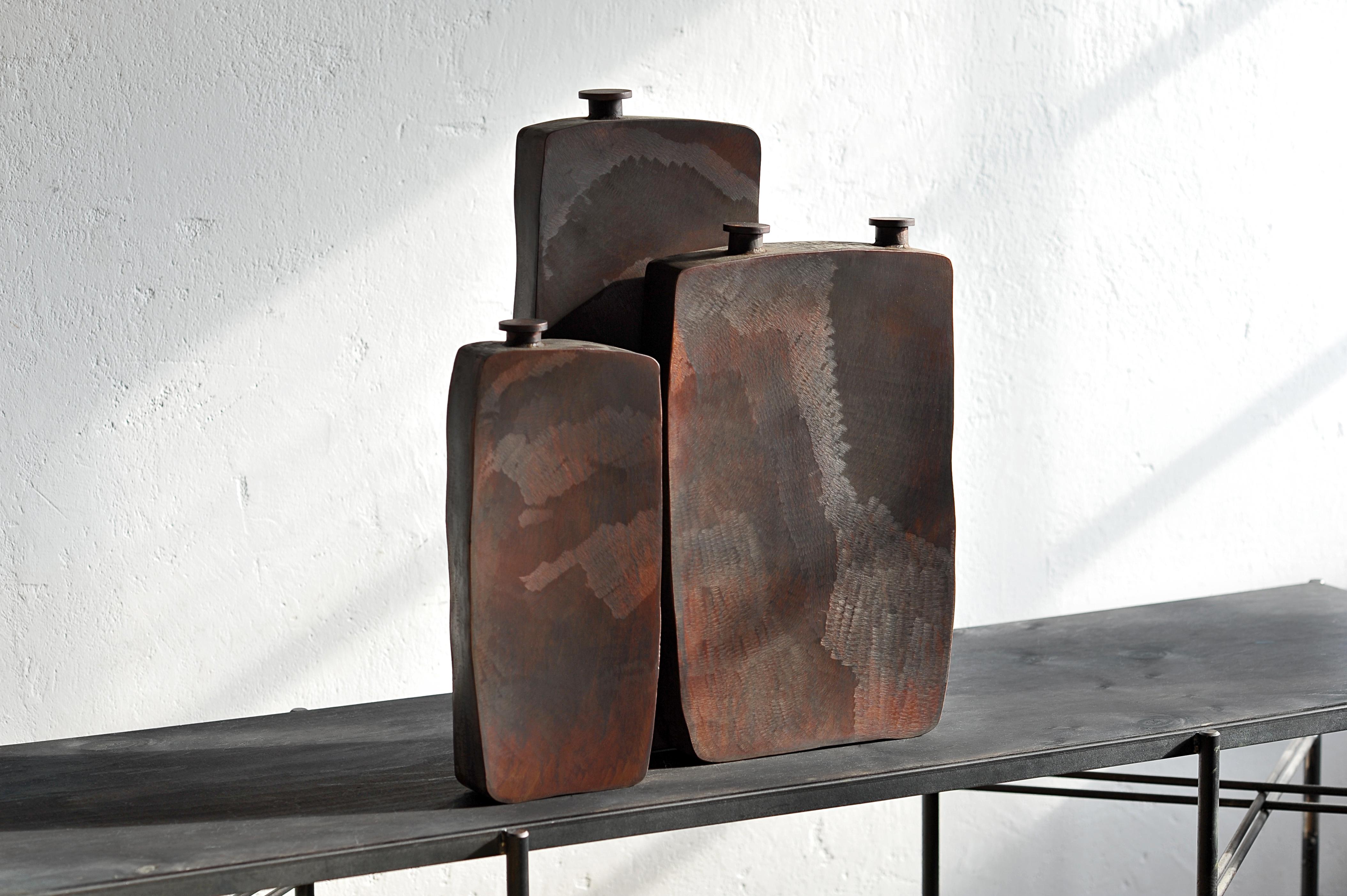 Modern Ensemble of Three Brown Bottles by Lukasz Friedrich