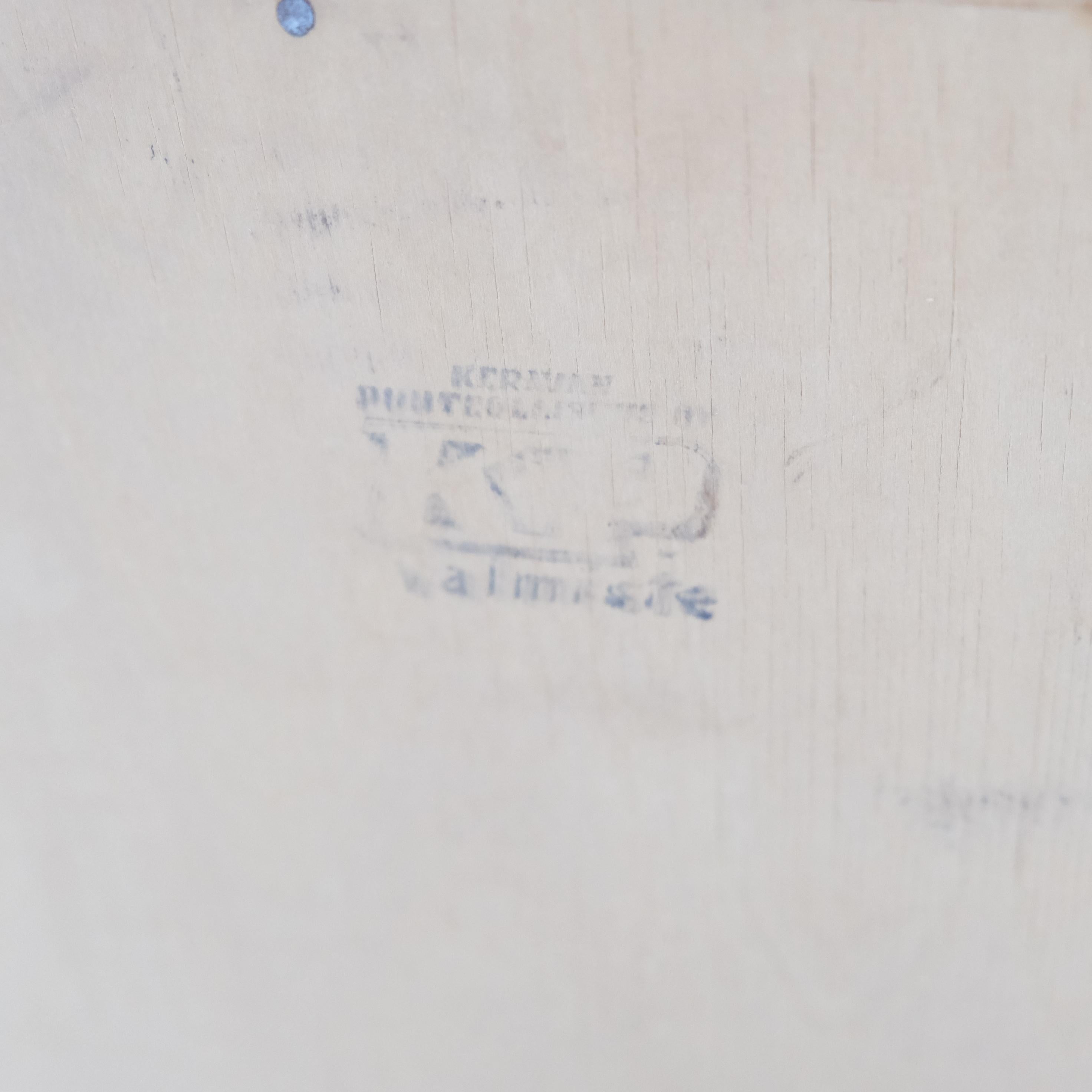 Entomogy Cabinet Intact with Speciments, Keravan Puuteollisuus, Finland 1950s in vendita 12