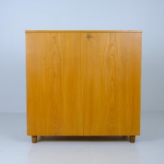 Entomologisches Kabinett intakt mit Präparaten, Keravan Puuteollisuus, Finnland 1950er Jahre