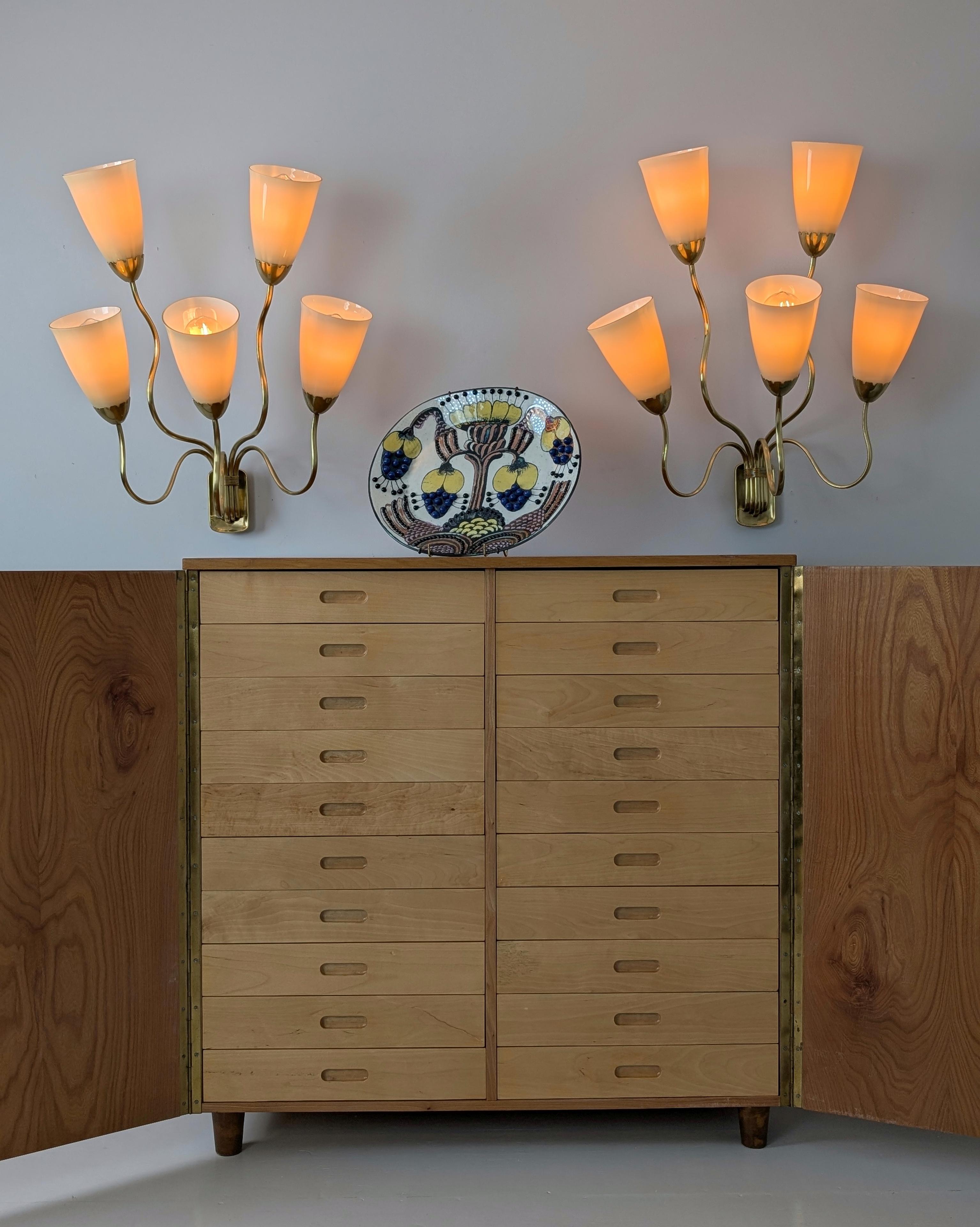 Scandinavo moderno Entomogy Cabinet Intact with Speciments, Keravan Puuteollisuus, Finland 1950s in vendita