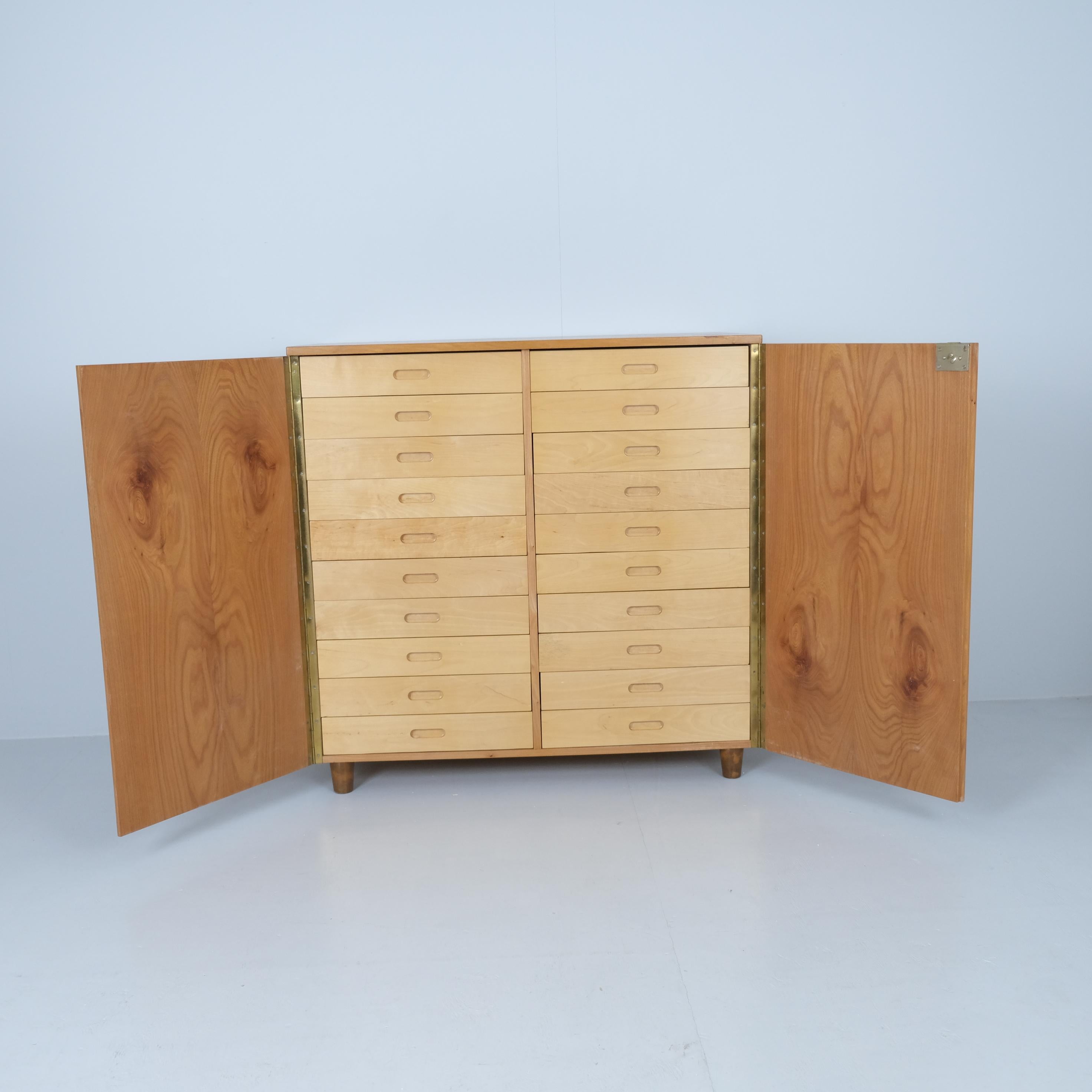 Metà XX secolo Entomogy Cabinet Intact with Speciments, Keravan Puuteollisuus, Finland 1950s in vendita