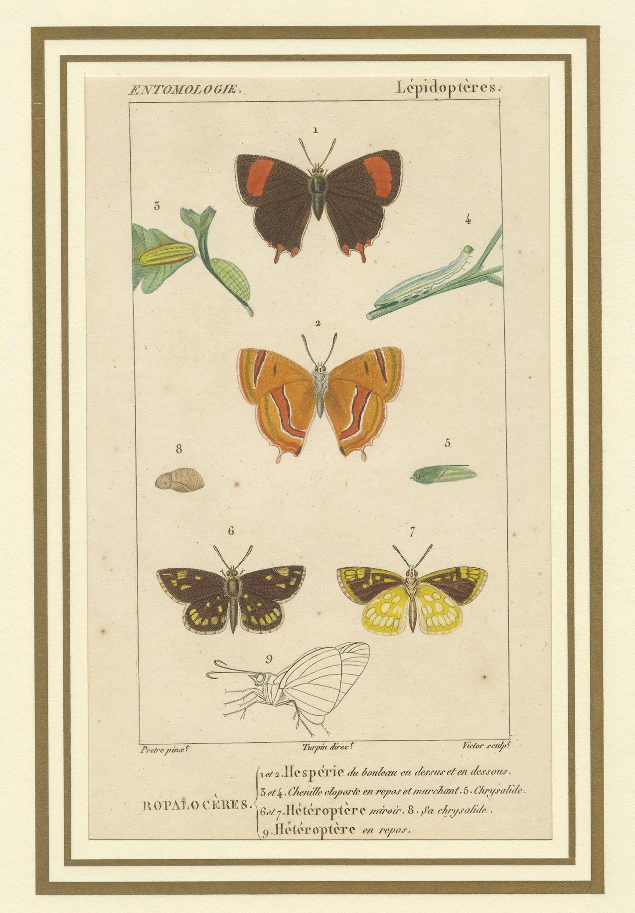 Mid-18th Century 