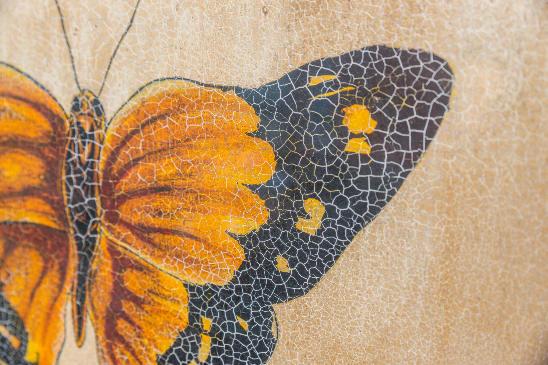 Paint Entomology, Study of Butterflies According to Nature, circa 1950, France