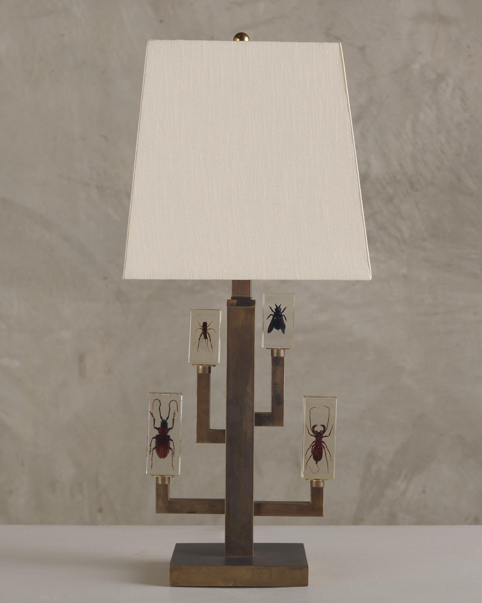 Cette lampe est parfaite pour les amateurs d'insectes qui souhaitent les analyser et les apprécier sans craindre qu'ils ne rampent, ne mordent ou ne s'échappent.
