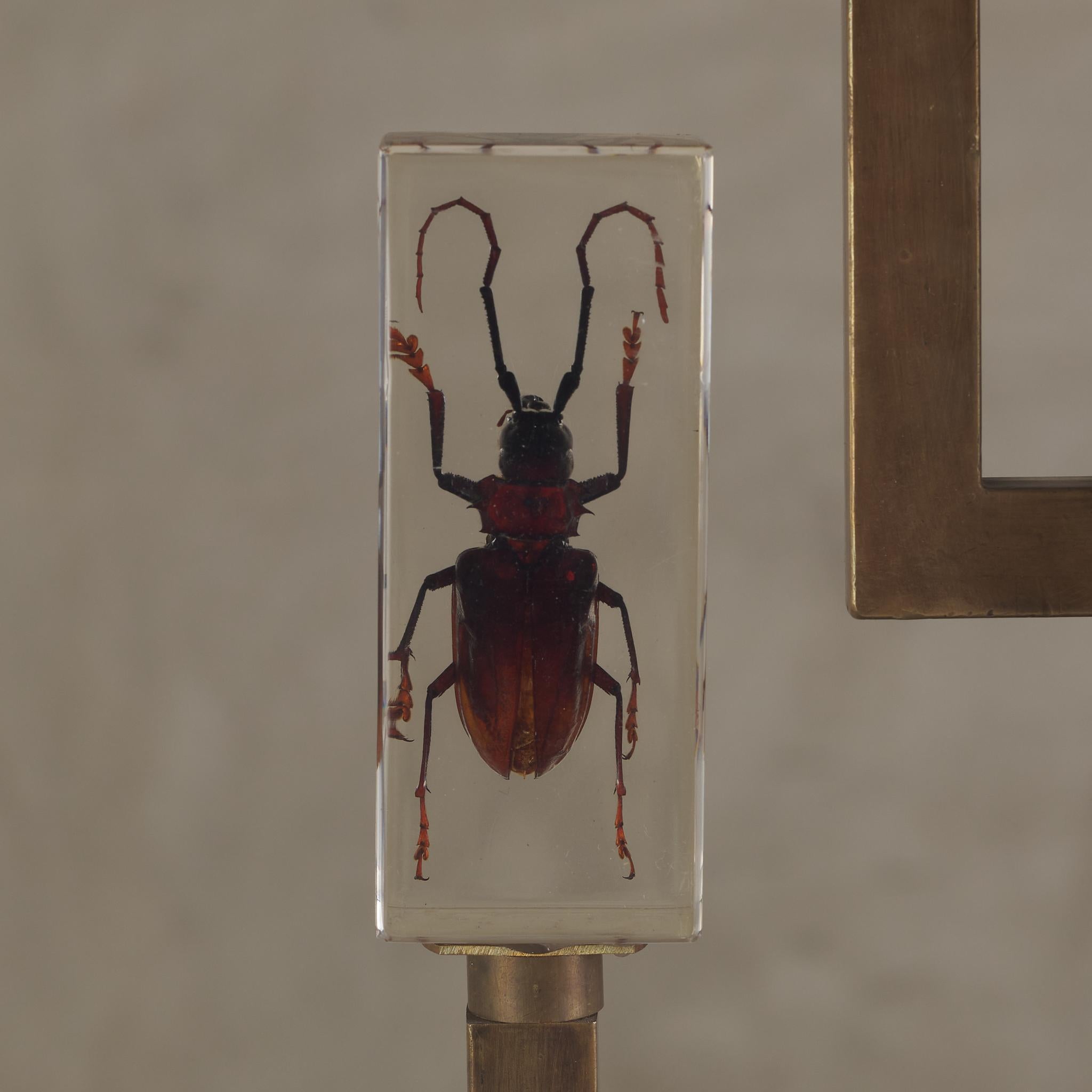 Fin du 20e siècle Lampe de table Entomology en vente