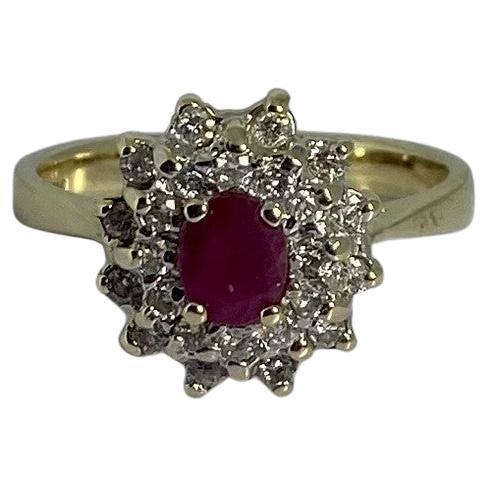 European Entourage ring of 14 carat bicolor gold with natural ruby & 24 diamonds For Sale