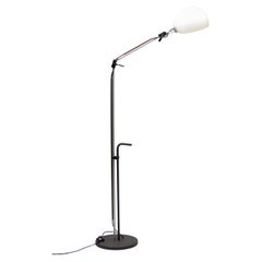 Enzo Mari G. Fassina Aggregato Floor Lamp by Artemide Italian design