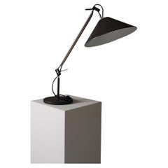 Enzo Mari and Giancarlo Fassina lamp