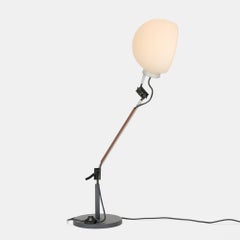 Enzo Mari & Giancarlo Fassina "Aggregato" Task Light For Artemide, 1970s