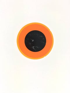 Enzo Mari Goose Poster on Plastic