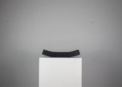 Enzo Mari Limited Edition Putrella Centerpiece in Iron by Danese Milano 2009