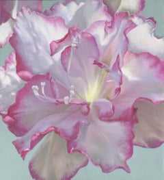 AZALEA - original impressionism floral oil painting - contemporary art