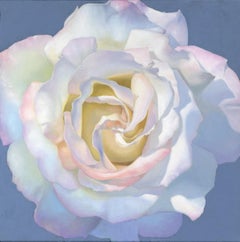WHITE ROSE - original impressionism floral oil painting - contemporary art