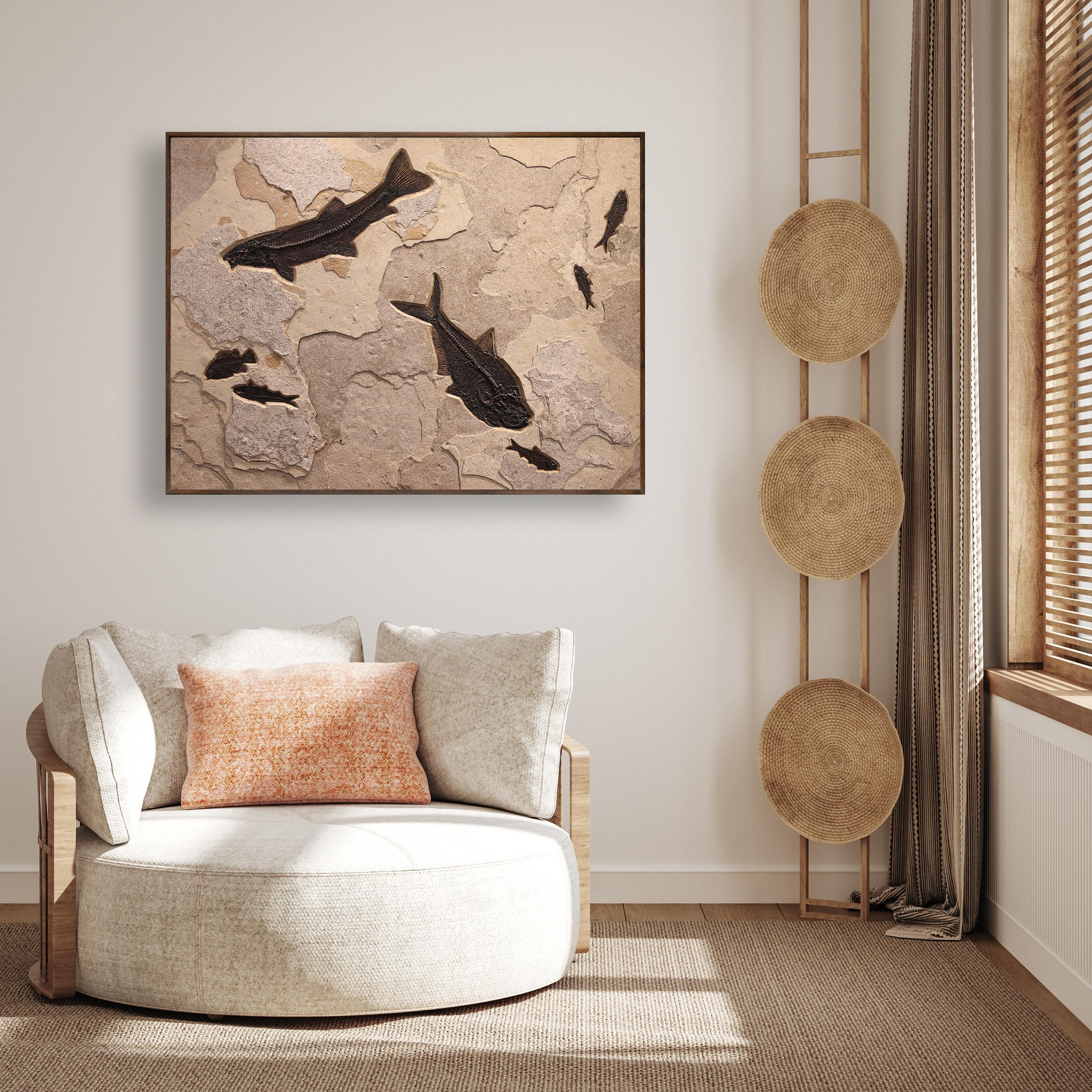 This sculptural stone mural features an array of Eocene era fossil fish from the Green River Formation: one Notogoneus osculus, one Diplomystus dentatus, one Cockerellites liops (formerly known as Priscacara), and a few Knightia eocaena. These