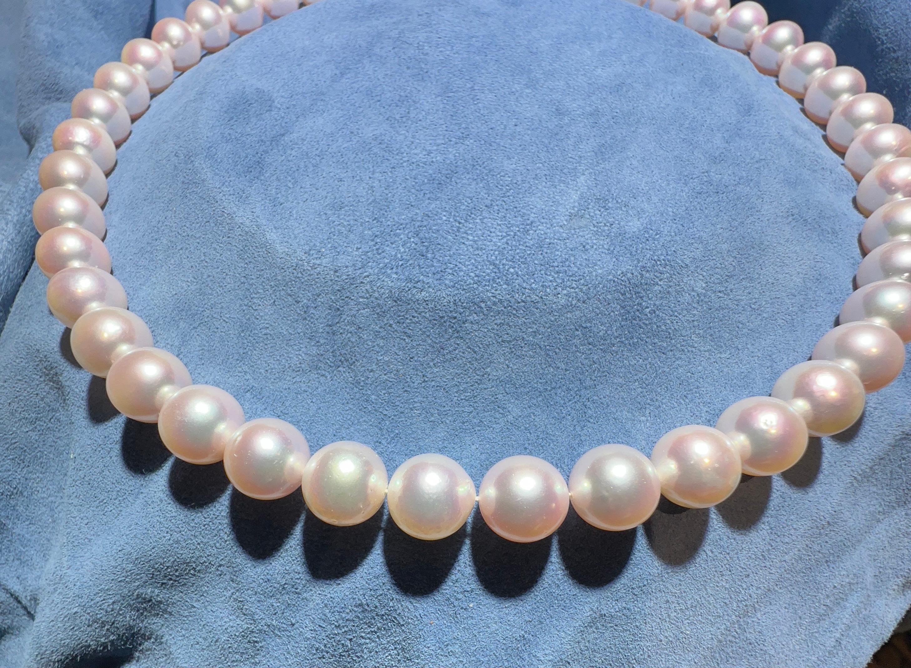 Contemporary Eostre Akoya Round Pearl Strand Necklace For Sale