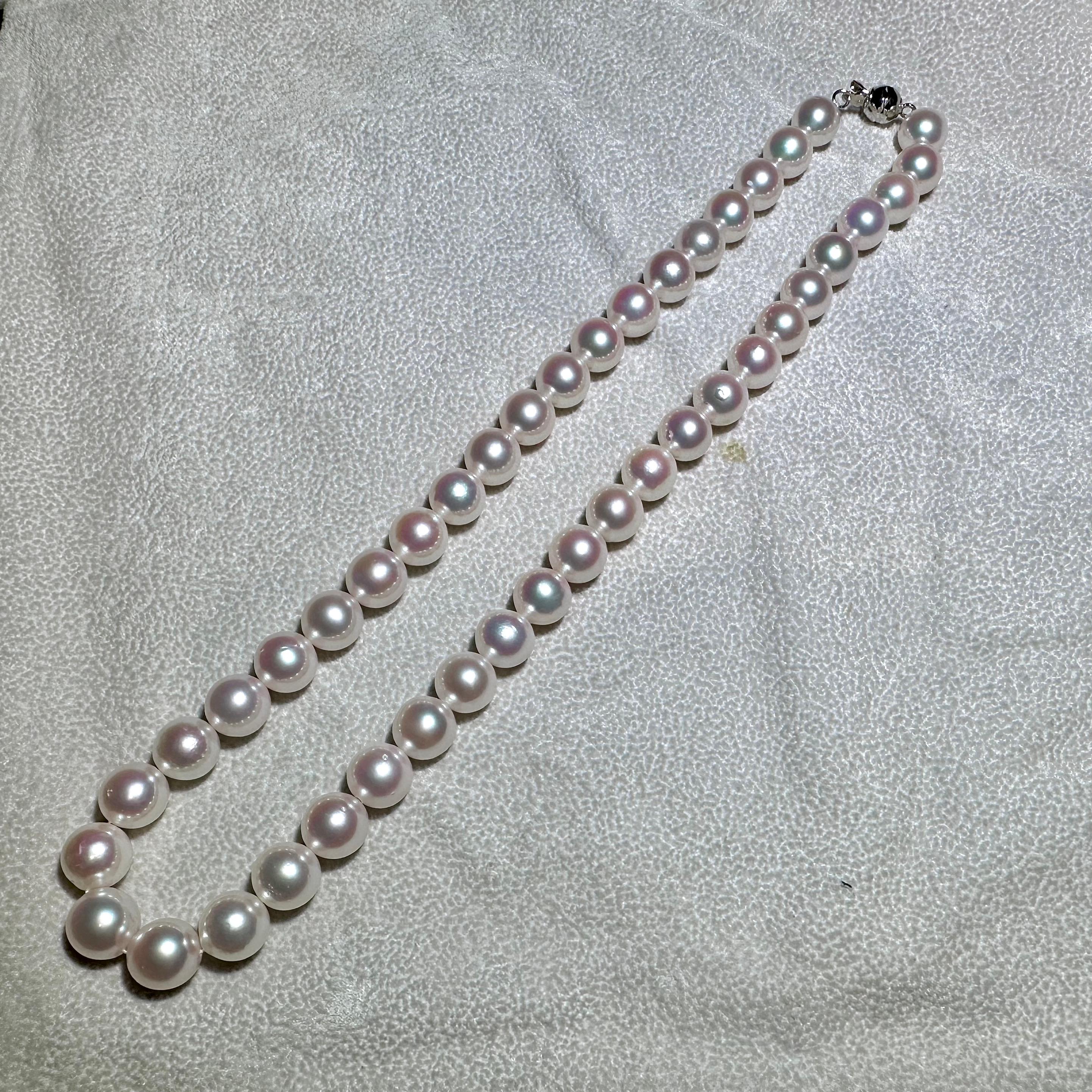 Eostre Akoya Round Pearl Strand Necklace In New Condition For Sale In Melbourne, AU