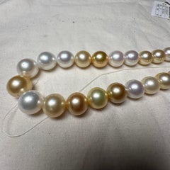 Eostre Australian South Sea  Pearl and Gold south sea pearl Strand Necklace