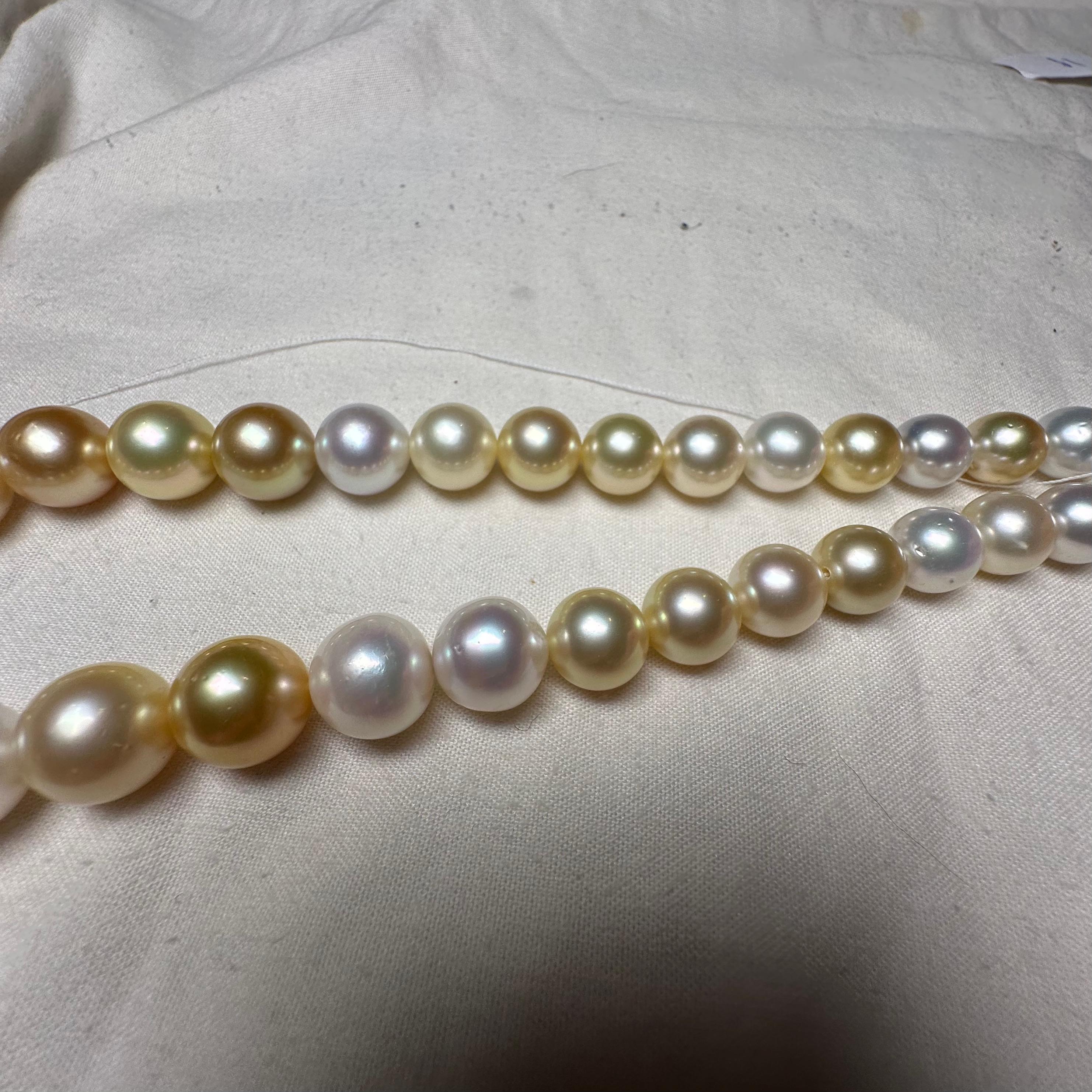 Eostre Australian South Sea  Pearl and Gold south sea pearl Strand Necklace For Sale 1