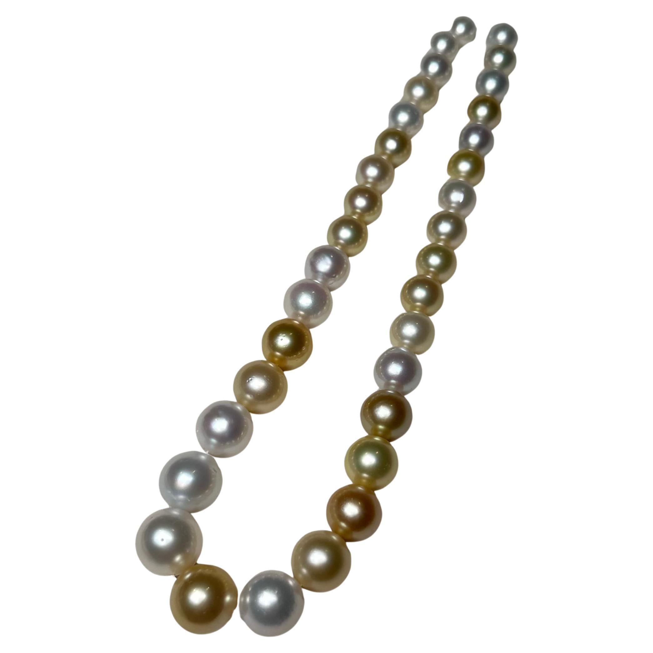 Eostre Australienisches Südseegebiet  Halskette aus Perle und Gold Südseeperlen mit Perlenstrang
